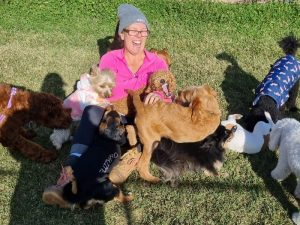 albion bark lodge doggy daycare
