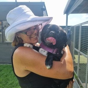 doggy daycare in the illawarra