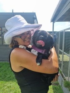 doggy daycare in the illawarra
