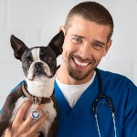 specialist vet illawarra