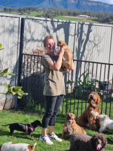 illawarra dog boarding