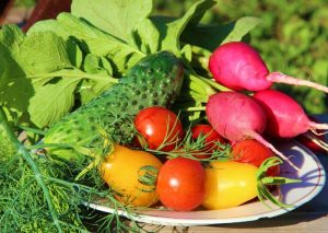 illawarra edible garden trail