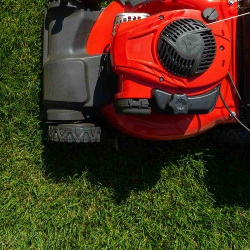 lawn mowing figtree